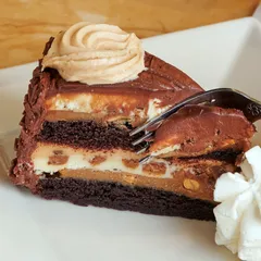 Reese's peanut butter chocolate cake cheesecake
