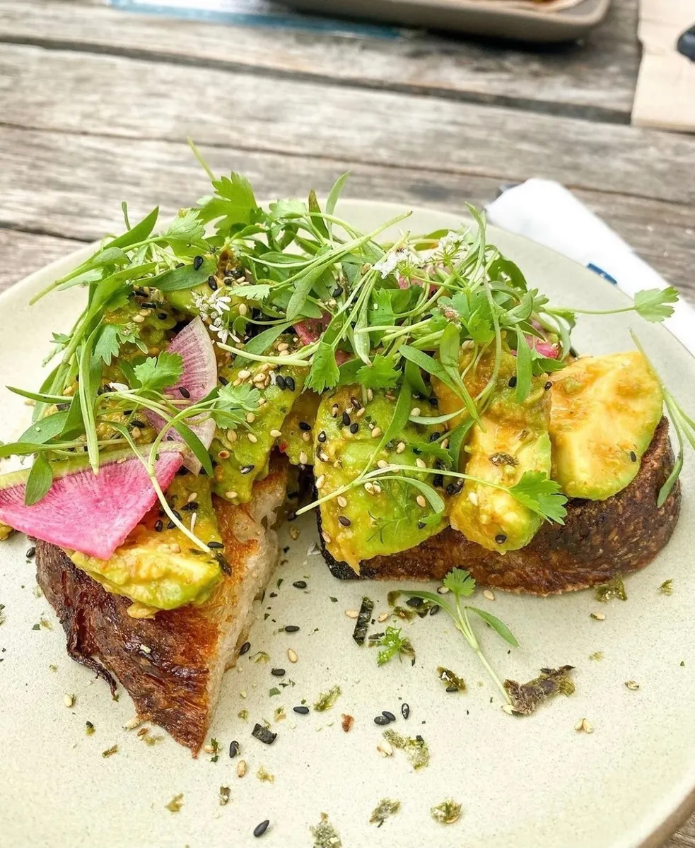 Avocado tartine