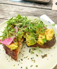 Avocado tartine