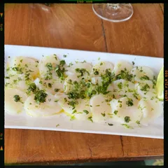 Sea scallop carpaccio