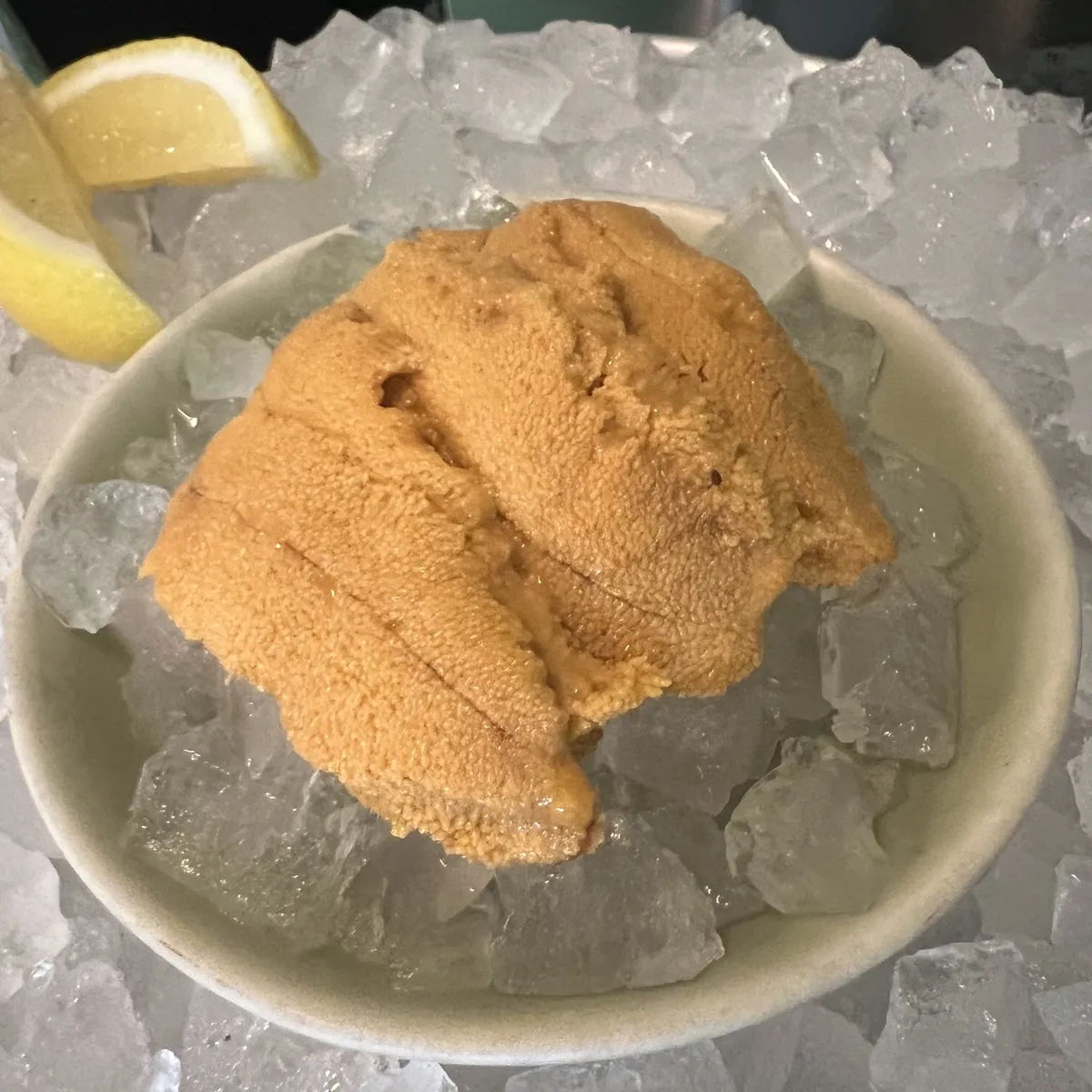 Santa barbara sea urchin