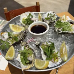 Oysters