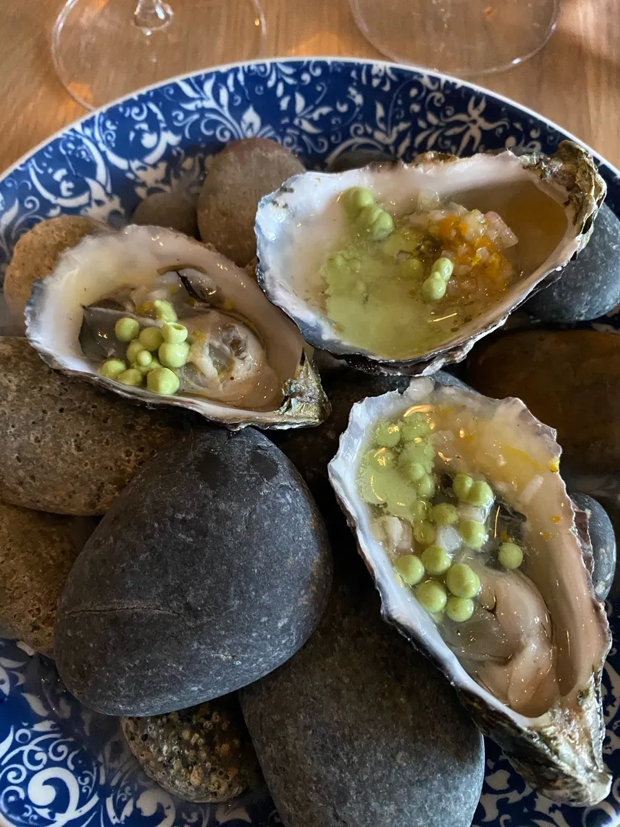 Oysters